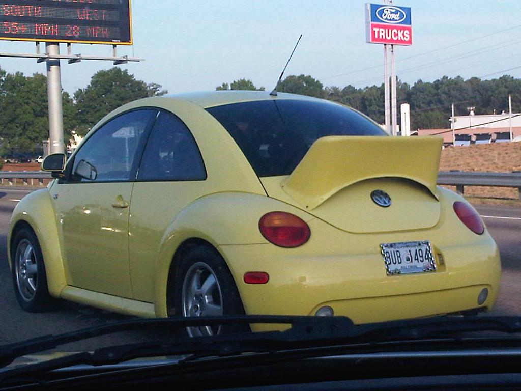 duckbeetle.JPG