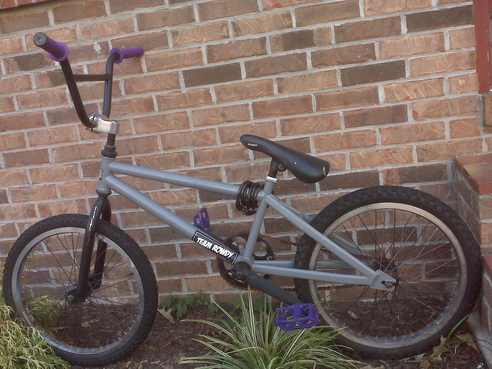 bike verions 2.25.jpg