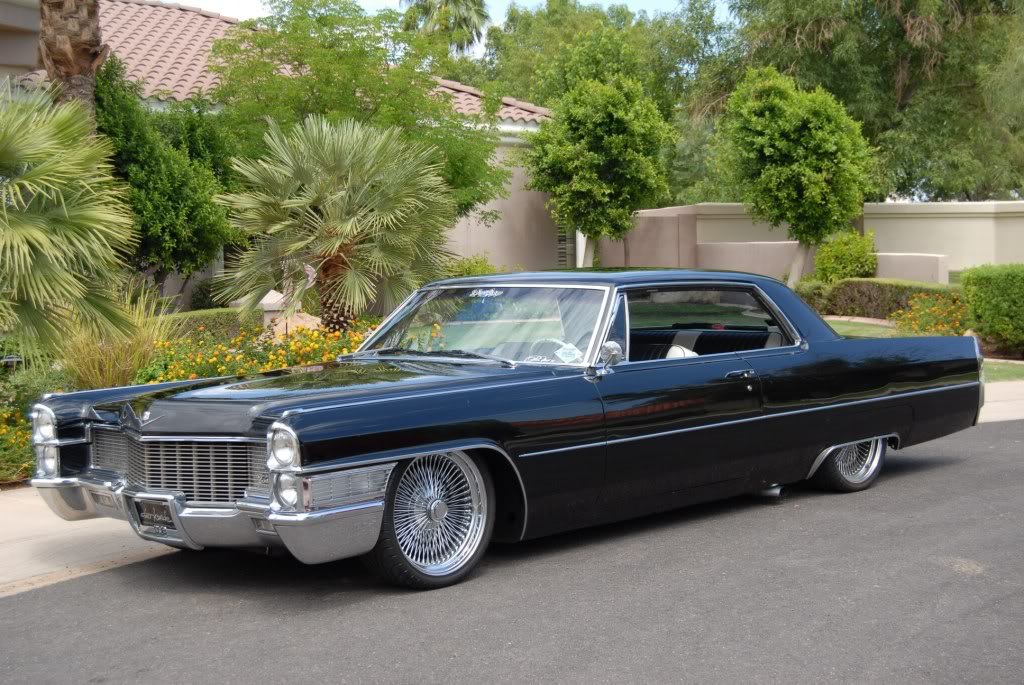 caddi.jpg
